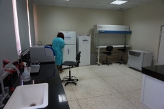 IBRH3AU Labs (4)