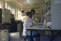Trainings (11)